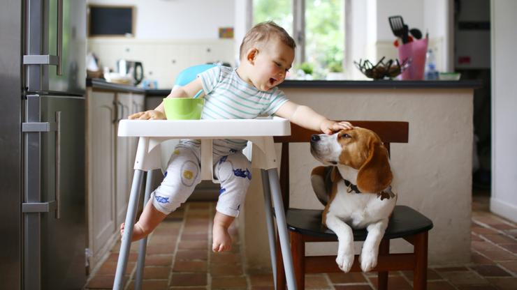 Isla has been crowned the number one baby name for girls — while Oliver proved to be the most popular for boys, file image.