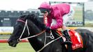 Lonhro has died aged 25.